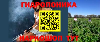 бошки Заводоуковск