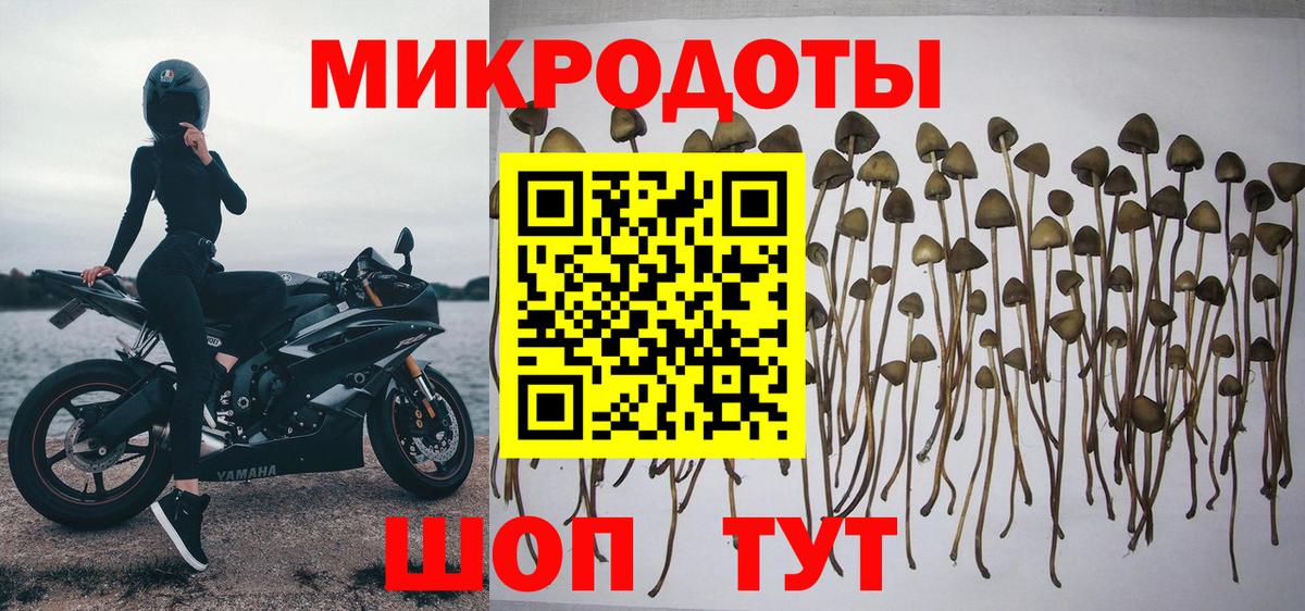 Галлюциногенные грибы ЛСД Сертолово
