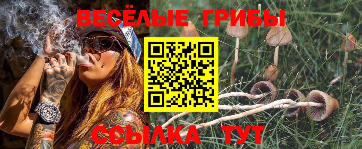 хочу наркоту  Псилоцибиновые грибы мицелий  Вход с VPN  Сертолово 
